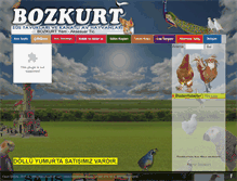 Tablet Screenshot of kamilbozkurt.com